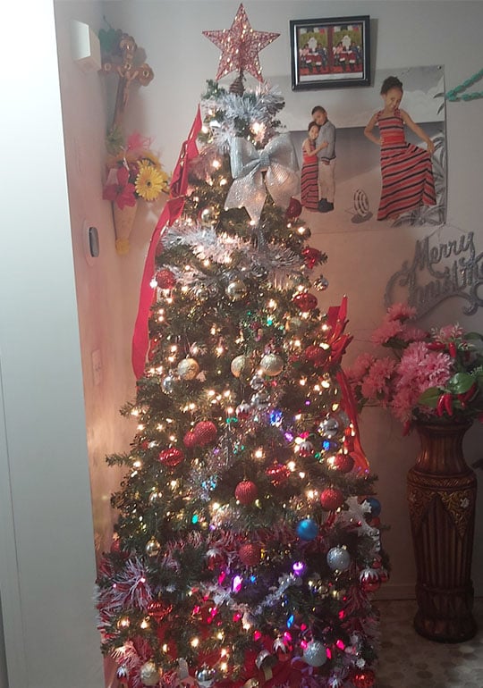 MeakleChristmastree