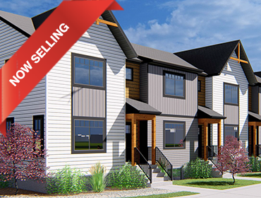 Now Selling Email Image (650x300)